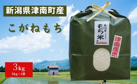 津南産 こがね餅米 3kg×1袋|餅 餅 餅 餅 餅 