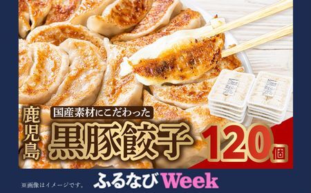 087-01-2 【ふるなびWEEK対象】国産素材にこだわった鹿児島黒豚餃子120個