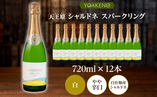 YOAKENO 天王原 シャルドネ スパークリング 720ml×12本177-4-085 |天王原シャルドネ スパークリングワイン 12本天王原シャルドネ スパークリングワイン 12本天王原シャルドネ