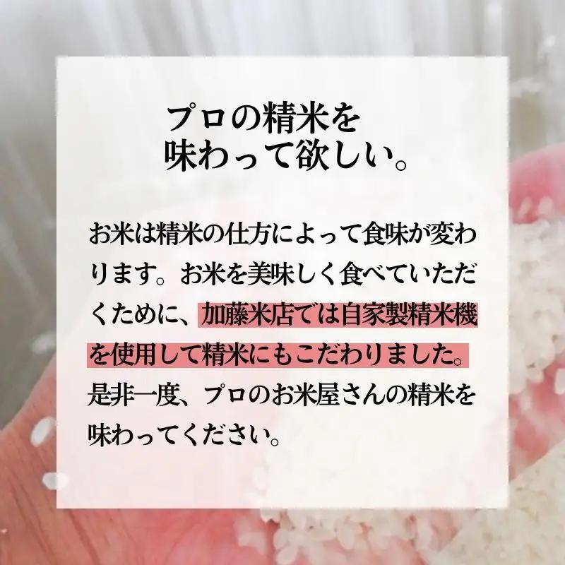 【2ヶ月定期便】玄米 特別栽培米 あきたこまち 秋田県産 玄米【20kg(5キロ×4袋)】