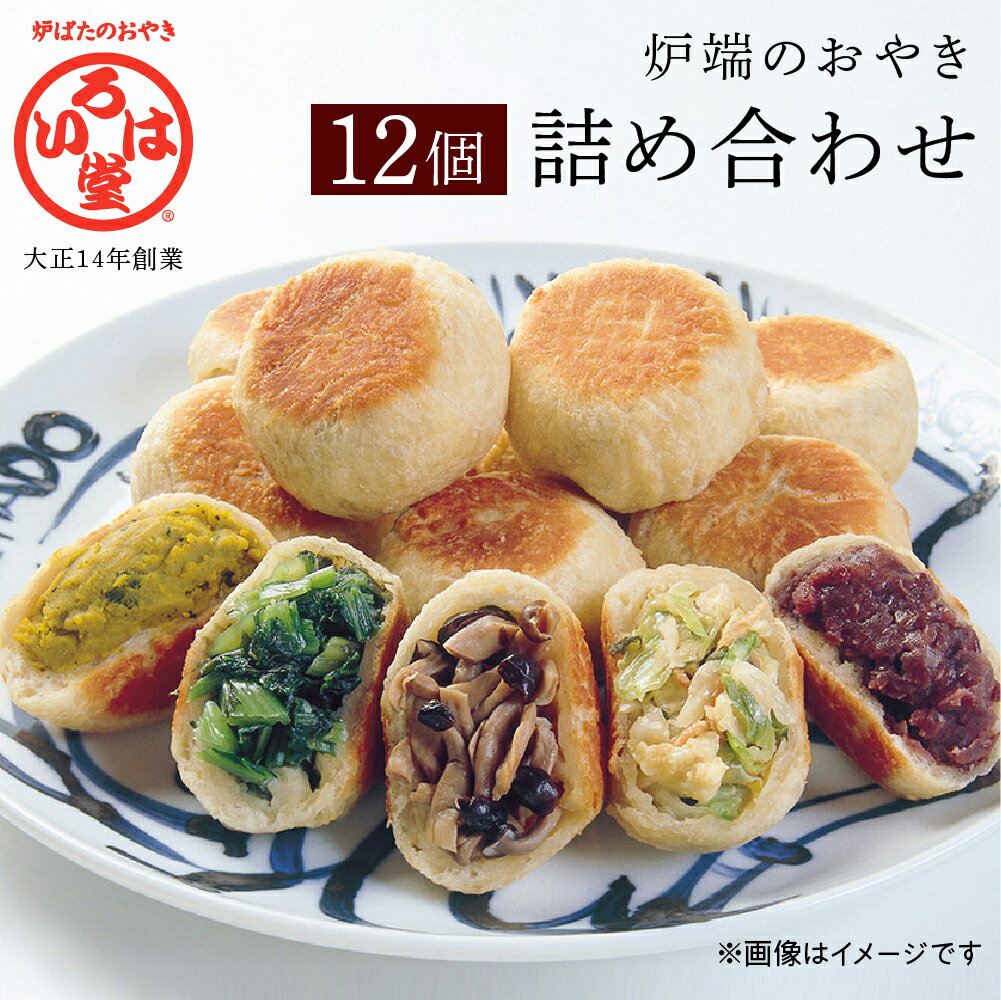 【ふるさと納税】いろは堂 おやき 12個 詰め合わせ セット 長野 惣菜 野沢菜 野菜 粒あん かぼちゃ ねぎみそ 和菓子 おつまみ おやつ おかず 冷凍 冷凍食品 取り寄せ 長野県 長野市　 長野県長野市 　お届け：※お申込み月より翌月上旬～翌々月上旬に順次発送