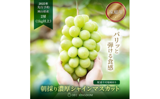 
            2025年 先行予約【ご家庭用】シャイン マスカット 2房（合計1kg以上）OEC KINGDOM ぶどう家【シャインマスカット マスカット ブドウ 葡萄 フルーツ 果物 くだもの 岡山県 岡山市 おすすめ 人気】
          