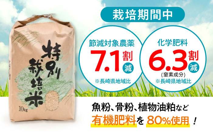 【先行予約】【R7年新米】九州のこだわり「ひのひかり」玄米10kg / 米 おこめ お米 玄米 ひのひかり / 諫早市 / 上島農産 [AHAS004] 新米 しんまい