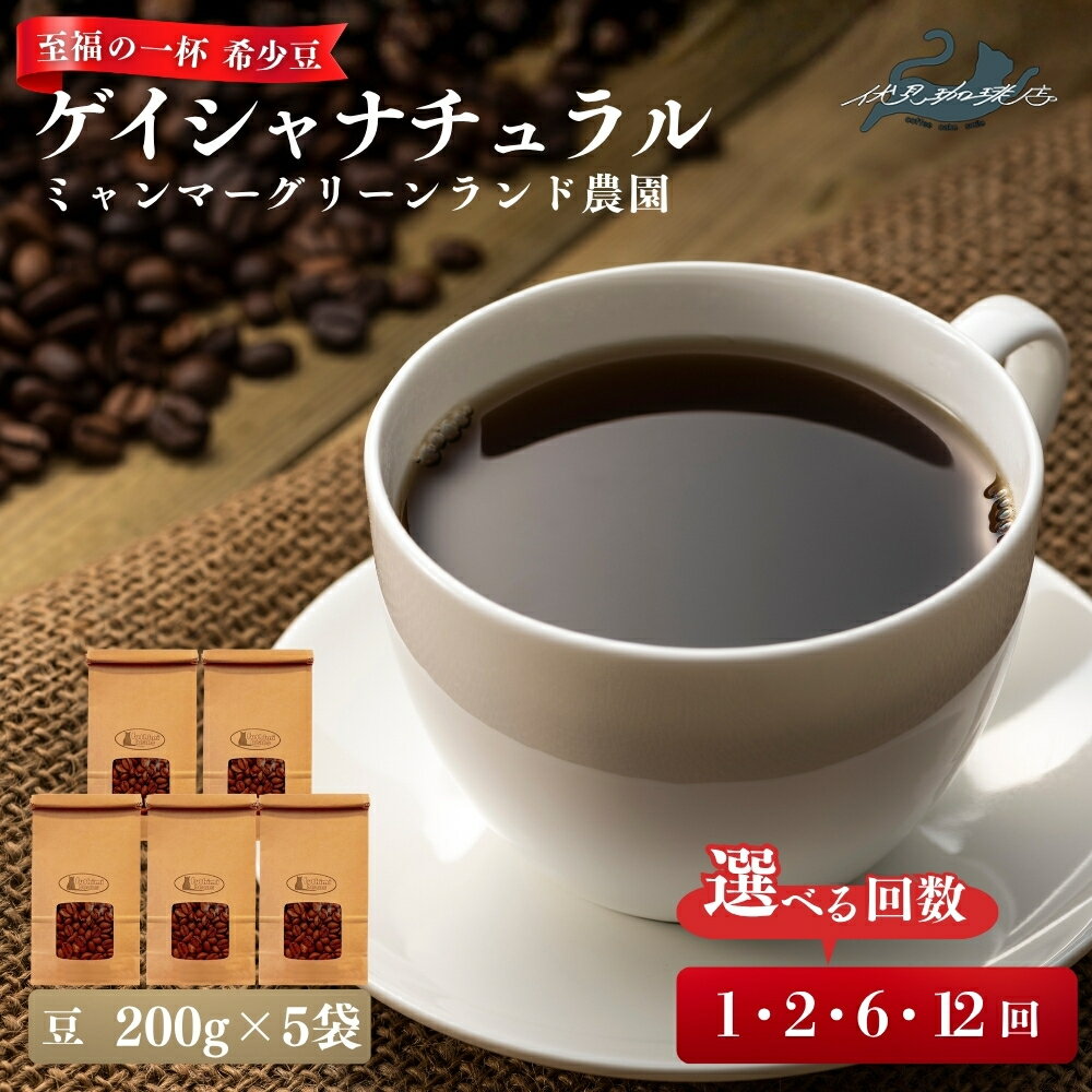 【ふるさと納税】【希少豆ゲイシャを堪能】【ミャンマー】華やかな香りと果実味が広がる、至福の一杯ゲイシャ ナチュラル グリーンランド農園（200g×5袋 ）選べる お届け回数 1回 2回 6回 12回