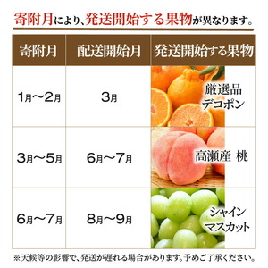 産地厳選三豊のフルーツ７回定期便A_M64-0041