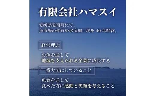かつお レア ステーキ 1kg カツオ 冷凍 鰹 高知 にも負けない ハマスイ 愛媛県 愛南町