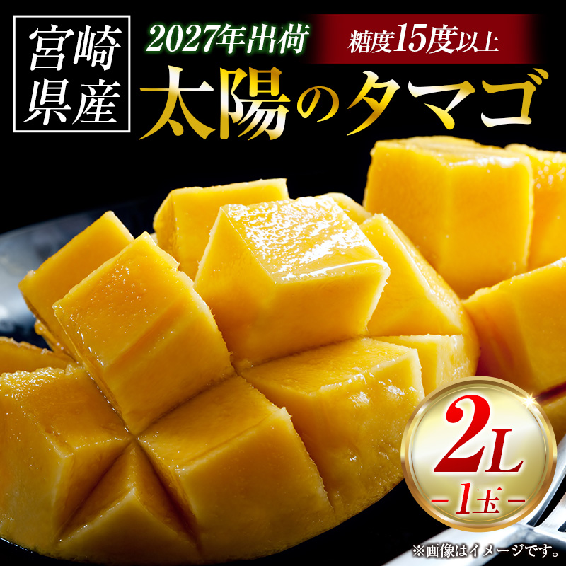 【令和9年発送 先行予約】完熟マンゴー「太陽のタマゴ」 2L×1玉（フルーツ マンゴー 完熟マンゴー アップルマンゴー 果物 くだもの 先行受付 2027 令和9年 宮崎）