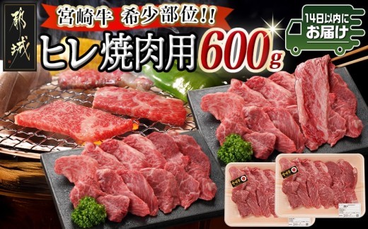 
                  宮崎牛ヒレ焼肉用600g≪みやこんじょ快速便≫_AD-89-024-600g-R_(都城市) 宮崎県産宮崎牛 ヒレ焼肉用 焼肉用カット ヒレ肉 冷凍配送
                