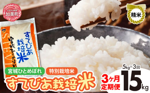 【3回定期便】新米 精米 令和6年度産 すてびあ栽培米 宮城県産 ひとめぼれ 15kg (5kg×3回) [菅原精米工業 宮城県 加美町 ]  | sw00001-r6-5kg-3