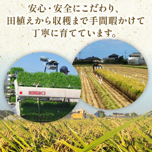令和7年産 米 こしひかり 10kg 【 米 】