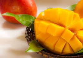 【全3回お届け】至極 完熟マンゴー 4L・2玉［Z21］