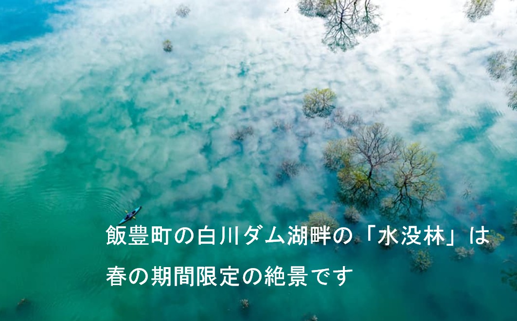 絶景 水没林カヌーツアー（1名様）癒しの自然満喫プレミアムアクティビティ 【フォトジェニックスポット】※3月下旬から5月下旬　