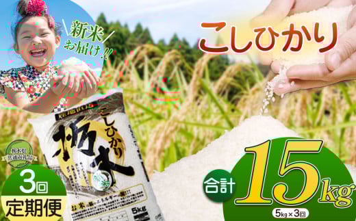 令和6年 美味しい栃木のこしひかり15kg | ふるさと 納税 コシヒカリ こしひかり お米 精米 ミネラル 白米 玄米 大粒 共通返礼品 送料無料 那珂川町 栃木県