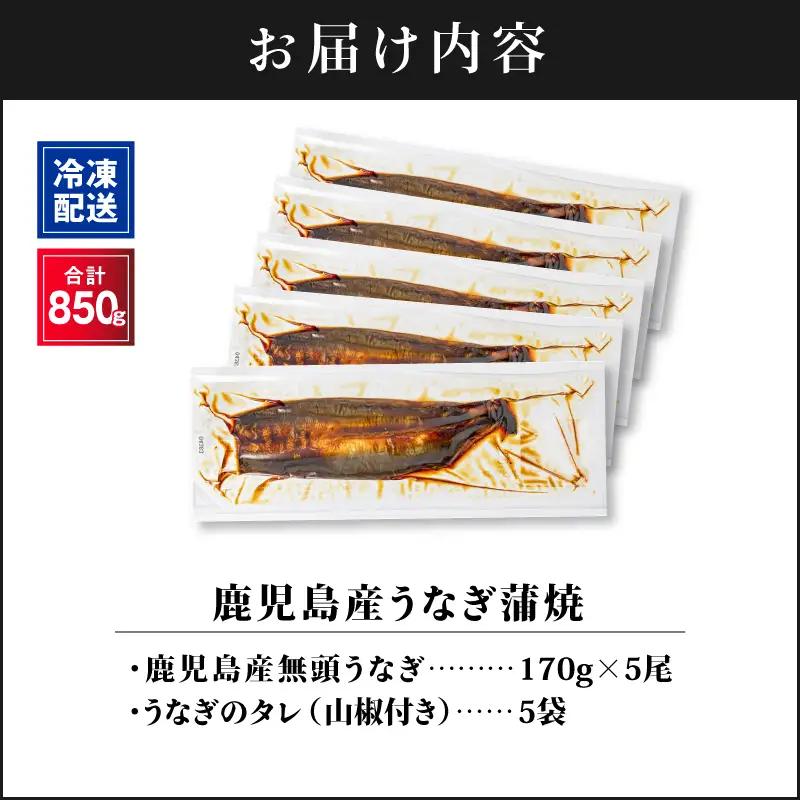  2445 鹿児島産うなぎ 合計850g（170g×5尾） 清らかな 地下水 育ち！ KN021-014-05 鰻 魚 惣菜 総菜