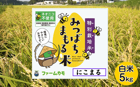 【2025年11月下旬より順次発送】雄踏ファームカモ産「みつばちまもる米」白米 5kg にこまる お米 コメ ご飯 ライス 特別栽培米 検査米 1等米 甘い おすすめ おにぎり おむすび 静岡 浜松