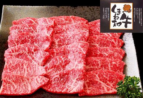 C-1021 しまね和牛 モモ(焼肉用) 750g