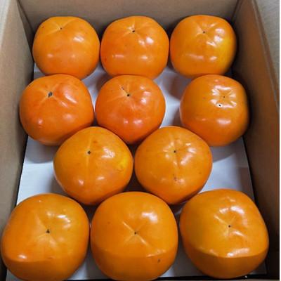 ふるさと納税 印南町 富有柿の新品種「紀州てまり」約7.5kg(22玉〜32玉おまかせ)【印南町】