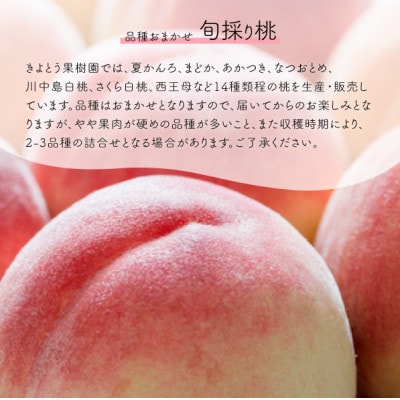 【発送月固定定期便】人気果物2種類が届く 桃とシャインの満足便!(岡山県産)全2回【配送不可地域：離島】