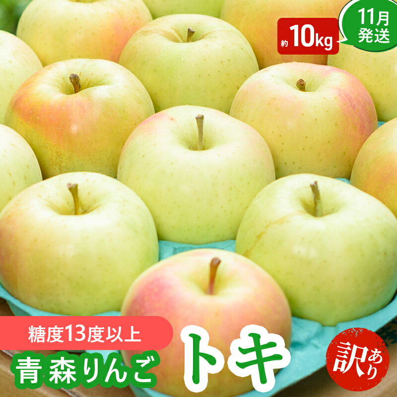 【ふるさと納税】【11月発送】（糖度13度以上） 訳あり品 家庭用 トキ 約 10kg 【 青森りんご 果物類 美味しい 採れたて 選りすぐり 高糖度 12度 ご家庭用 甘さ 驚き 果汁 土壌 肥料 】　お届け：2026年11月中