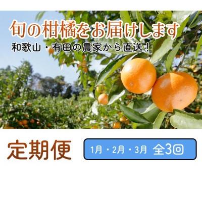 ふるさと納税 広川町 【発送月固定定期便】家庭用 柑橘定期便S(1〜3月)全3回 |  | 01
