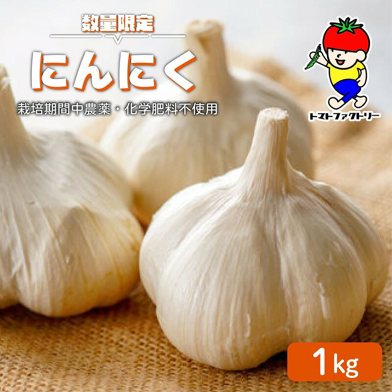 【ふるさと納税】 【期間限定】 にんにく 1kg トマトファクトリー 栽培期間中 農薬 化学肥料不使用 ニンニク 大蒜 乾燥 不揃い 正規品 おまかせ 季節 甘い 糖度 食材 旬 素揚げ から揚げ ペペロンチーノ フライドにんにく ガーリック 農家直送 農家応援 滋賀県 日野町