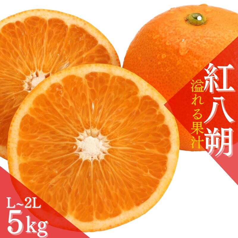 【ふるさと納税】 【先行予約】【数量わずか】あふれる果汁！ 希少な紅はっさく 秀品 5kg L〜2L 2026年1月初旬～2026年3月末頃に順次発送予定（お届け日指定不可）/ ハッサク 八朔 紅八朔 紅はっさく フルーツ 柑橘 蜜柑 果物 くだもの