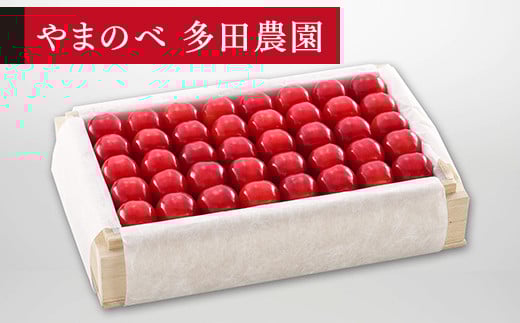 ≪2025年 先行予約≫さくらんぼ 特選佐藤錦 桐箱詰 約700g「やまのべ多田農園」 F2Y-1387