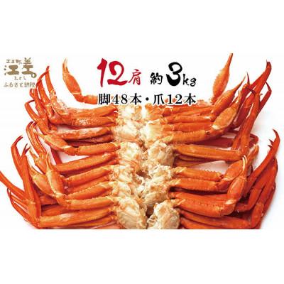 ふるさと納税 江差町 『北海道北前蟹』北海道日本海産 紅ずわいがに肩付き脚[殻付き]12肩　約3kg |  | 01