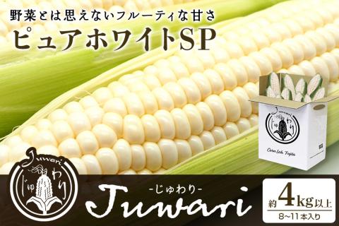 【数量限定 先行予約】＜2025年夏発送予定＞ブランドとうもろこし【Juwari-じゅわり-】ピュアホワイトSP 約4kg以上（8～11本入り） とうもろこし トウモロコシ 41-E