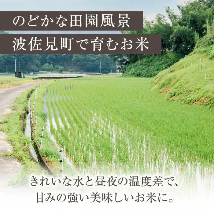 白米 令和7年度米【全3回定期便】にこまる 白米 5kg×3回 計15kg [ZF07]