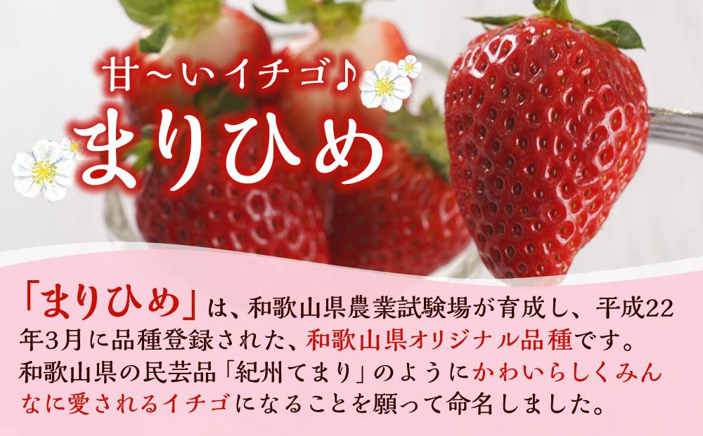 まりひめ 4パック【2025年1月発送分】