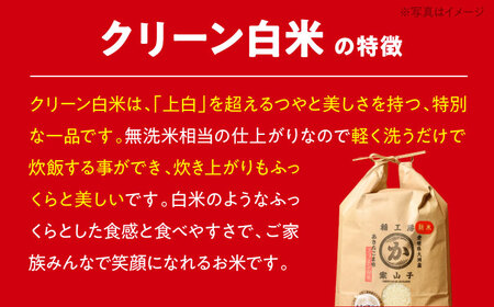 【全12回】野菜 × 果物 ×お米×卵 定期便 [AGBX033] お米 定期便