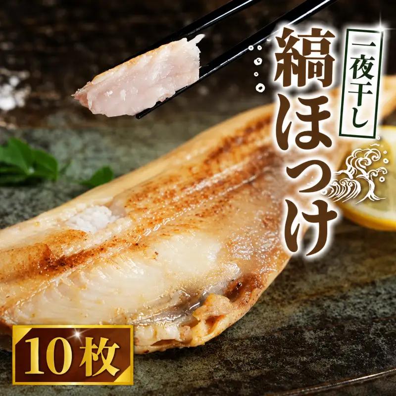 ほっけ 一夜干し 縞ほっけ 10枚