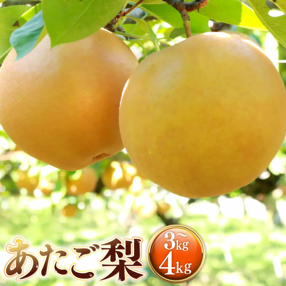 【ふるさと納税】＜選べる内容量＞あたご梨 約3kg（3～5玉） / 約4kg（3～6玉） 赤梨 なし ナシ 梨 フルーツ くだもの 果物 果実 デザート 岡山県産 国産 岡山県 美咲町 送料無料 【2026年11月下旬～12月下旬発送予定】