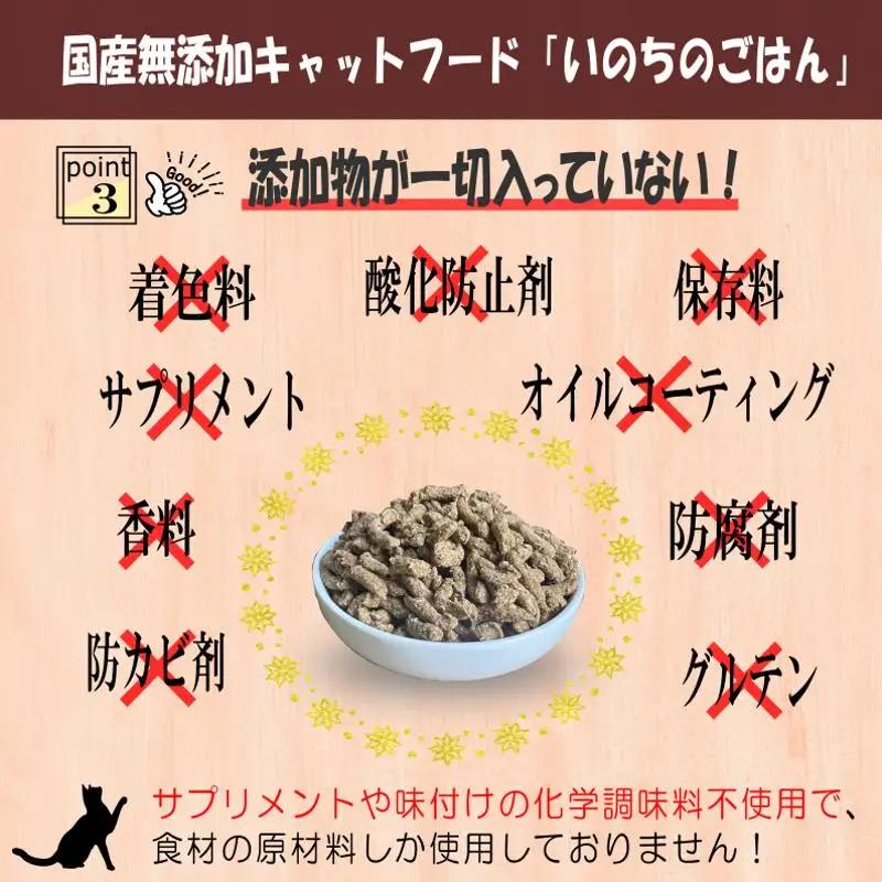 【定期便】国産無添加 キャットフード 500g×全3回「いのちのごはん」タンパク質 66％以上配合タイプ【毎月配送コース】