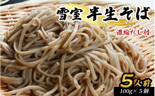雪室半生そば 5人前（100g/1人前×5個セット） 濃縮だし付 [A-077005]