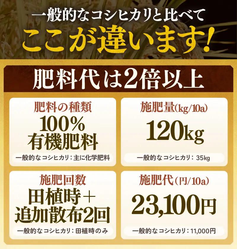 【先行予約】【令和8年産 新米】定期便《6ヶ月連続お届け》コシヒカリ 精米 5kg × 6回（計30kg）特別栽培米 農薬不使用 化学肥料不使用 ／ 残留農薬ゼロ 高品質 鮮度抜群 福井県産 ブランド