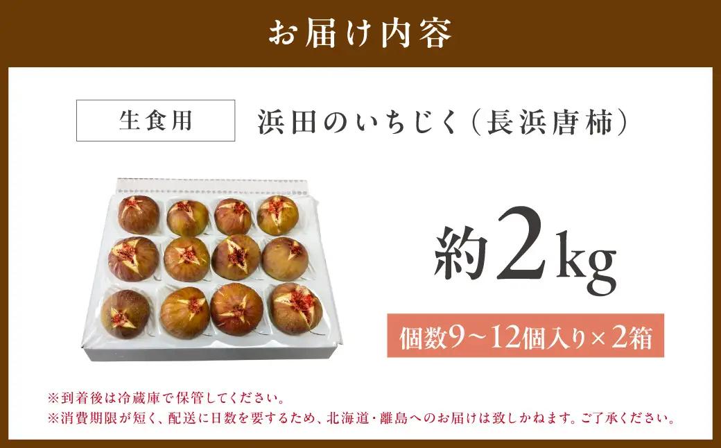 【先行予約】浜田のいちじく懐かしの味！長浜唐柿（蓬莱柿）生食用 約2kg 8月下旬から発送【113_2058】