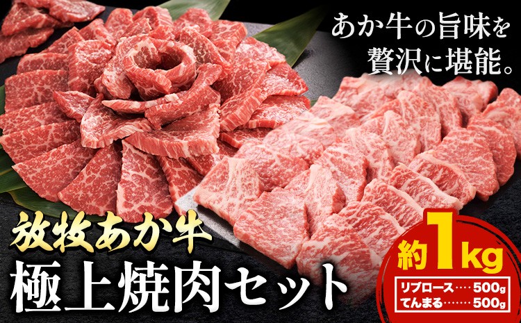 
                  阿蘇うぶやま村の放牧あか牛極上焼肉セット1kg リブロース てんまる たっぷり BBQ 焼き肉 赤身 和牛 牛肉 牛 国産 あか牛 焼肉正 人気 ギフト 詰め合わせ 贈り物 お中元 お歳暮 贈答 熊本 阿蘇 産山村 送料無料《60日以内に出荷(土日祝除く)》【配送不可地域あり】
                