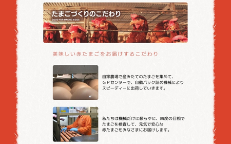 【定期便】希少2種 たまごセット 50個 12回定期便 割れ保証付き