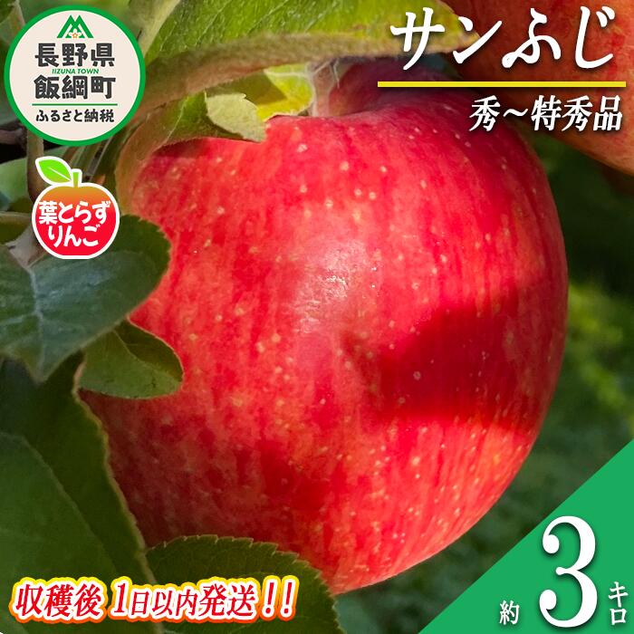 【ふるさと納税】 りんご 葉とらず サンふじ 秀 〜 特秀 3kg 採れたてを発送 フレッシュフルーツミカズキ 令和7年度収穫分 長野県 飯綱町 〔 信州 果物 フルーツ リンゴ 長野 20500円 予約 農家直送 〕発送時期：2025年11月中旬〜2025年11月下旬 {***}