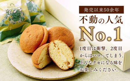 カステラ ケンキ 10個 | カステラ お菓子