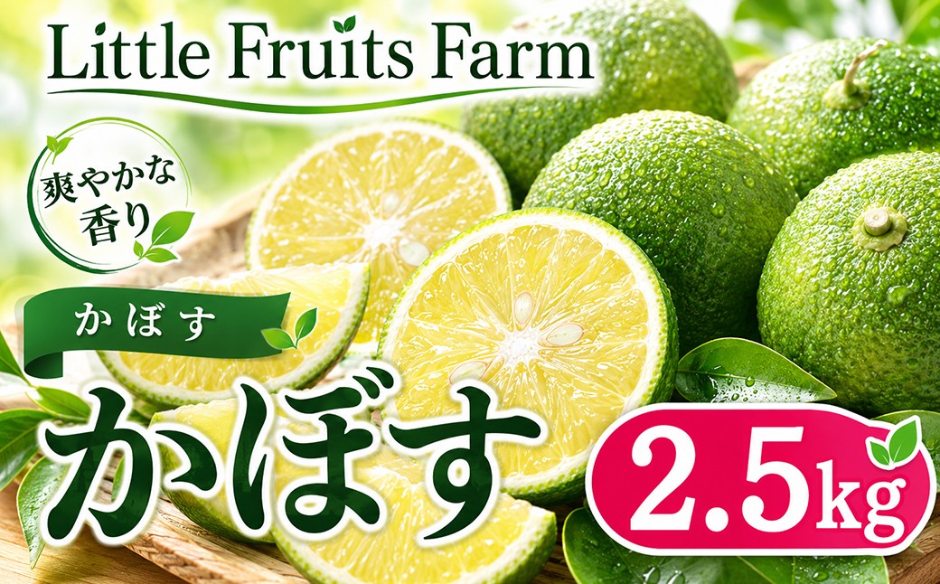 
                  香り抜群!果汁たっぷり!リトルフルーツファームのかぼす 約2.5kg ／ 柑橘類 果物 フルーツ 9月 10月 11月 12月 ＜116-001＞
                