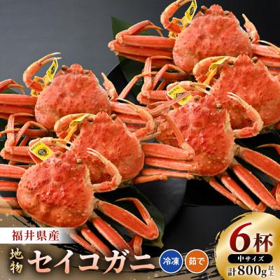 ふるさと納税 美浜町 全て地物!冬の味覚　旬のセイコガニ中(6匹 計約800g以上)食べ方カラー説明書付き