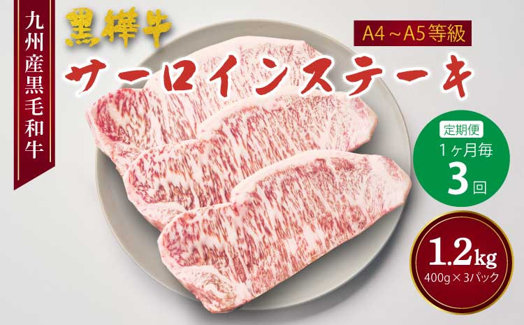 
            ステーキ 【3回定期便】A4-A5等級 サーロインステーキ 計1.2kg （200g×2パック）×3回 牛肉  サーロイン BBQ アウトドア キャンプ 和牛 黒毛和牛 霜降り 冷凍 九州産黒毛和牛 杉本本店 黒樺牛 
          