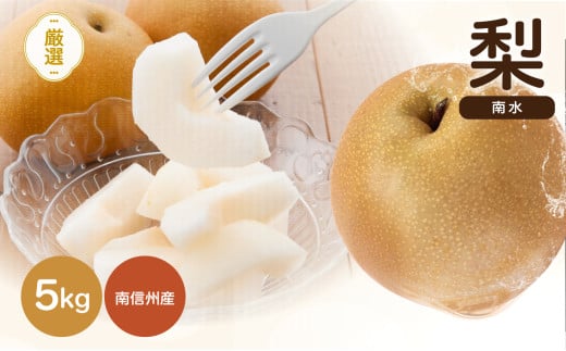 南信州産 梨 南水 約5kg 【2025年9月より順次発送】 | 果物 くだもの フルーツ 梨 なし ナシ 南水 長野県 信州 南信州 飯田市
