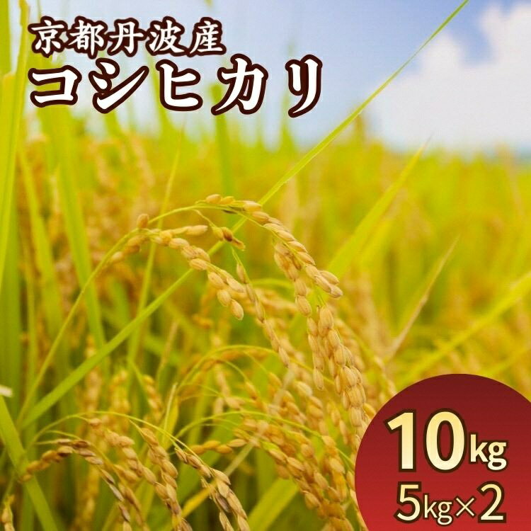 【ふるさと納税】令和7年産 米 京都丹波産コシヒカリ 10kg(5kg×2袋) 発送時期が選べる＜JA京都たわわ朝霧＞≪農協 白米 精米 産地直送 送料無料 簡易包装 生活応援 人気 国産 こしひかり≫