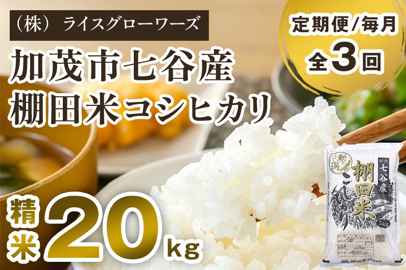 
                  【令和8年産新米先行予約】【定期便3回毎月お届け】七谷産 棚田米 コシヒカリ 精米 20kg（5kg×4）《10月上旬～順次出荷》 白米 （株）ライスグローワーズ 新潟県 加茂市産 白米 米 お米 定期便
                