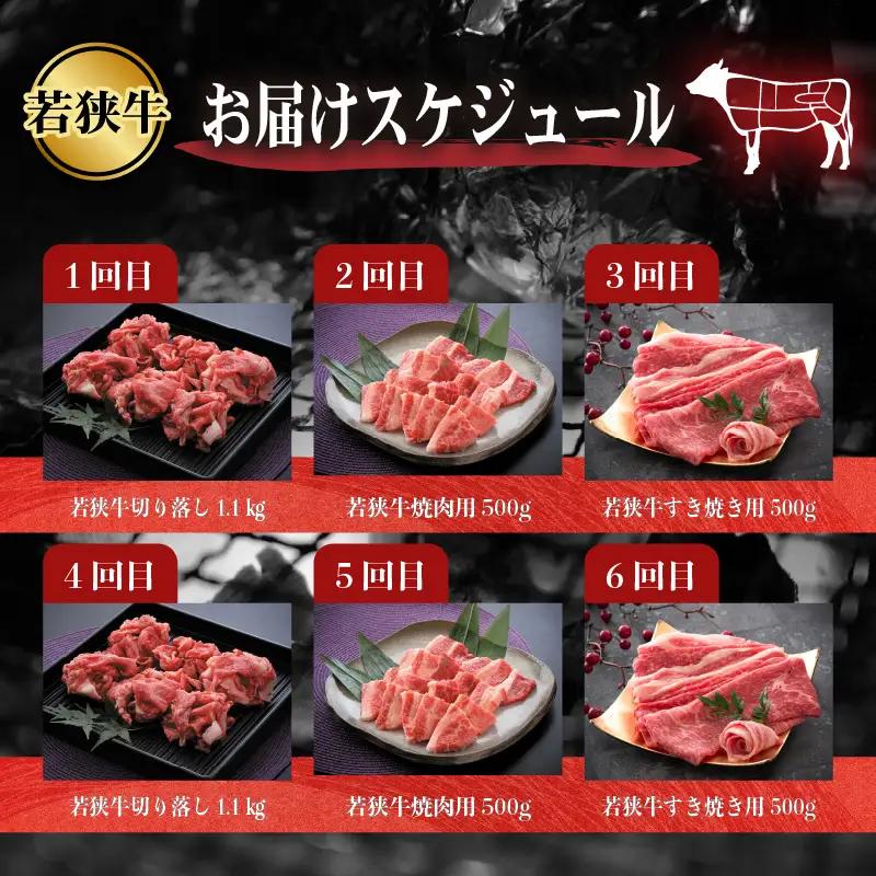 定期便 こだわり若狭牛 全6回 （すき焼き用 / 切り落とし / 焼肉用） 合計4.2kg 【肉 6ヶ月 牛肉 肉 お楽しみ 食べ比べ のし 熨斗 和牛 国産和牛 黒毛和牛 黒毛和種 ブランド牛 ギフ