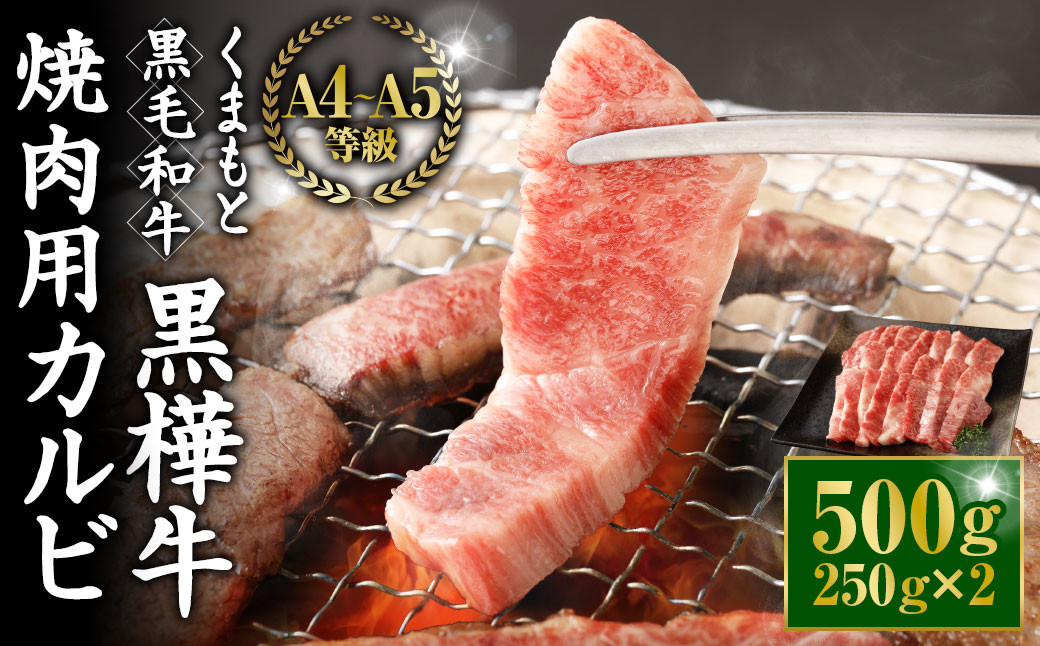 くまもと黒毛和牛 杉本本店 黒樺牛 A4~A5等級 焼肉用カルビ 250g×2 計500g